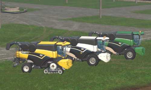 CatLexion