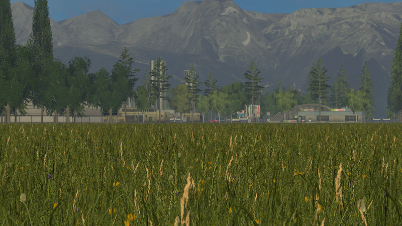 bigfarm 7